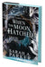 When the Moon Hatched: A fast-paced romantasy with undeniable chemistry in a stunning immersive world (The Moonfall Series, 1