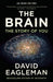 The Brain