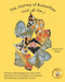The Journey of Butterflies