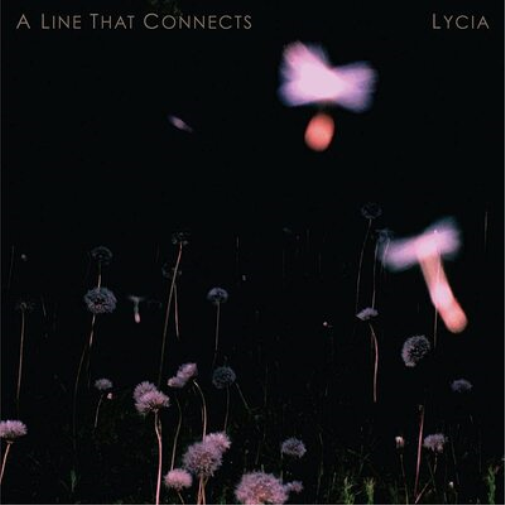 A Line That Connects