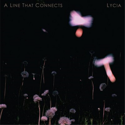 A Line That Connects