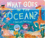 What Goes in the Ocean?