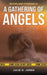 Moorland Forensics - A Gathering of Angels