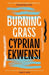 Burning Grass