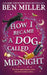 How I Became a Dog Called Midnight