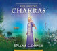 The Twelve Chakras