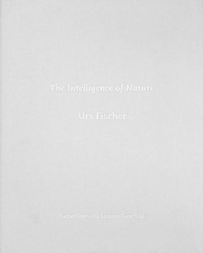 The Intelligence of Nature