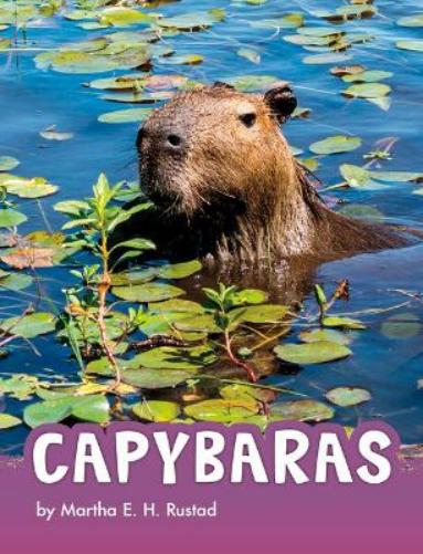 Capybaras