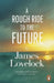 A Rough Ride to the Future