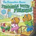 The Berenstain Bears and the Trouble with Friends (First Time Books(R