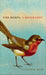 The Robin
