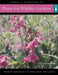The Wild Garden