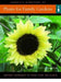 Cassell's Directory of Plants for Family Gardens