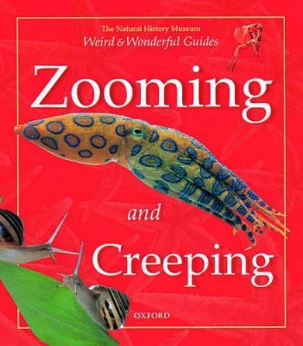 Zooming and Creeping
