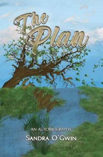 The Plan