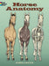 Horse Anatomy Coloring Book