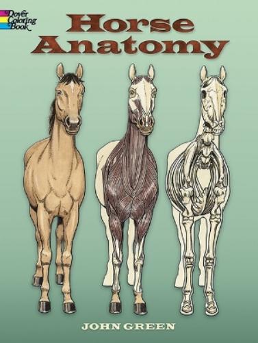 Horse Anatomy Coloring Book