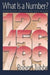 What Is A Number?: Mathematical Concepts And Their Origins