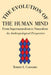 The Evolution Of The Human Mind: From Supernaturalism To Naturalism An Anthropological Perspective