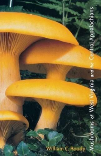 Mushrooms Of West Virginia And The Central Appalachians