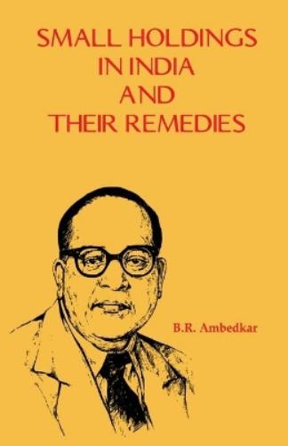 Small Holdings in India and Their Remedies