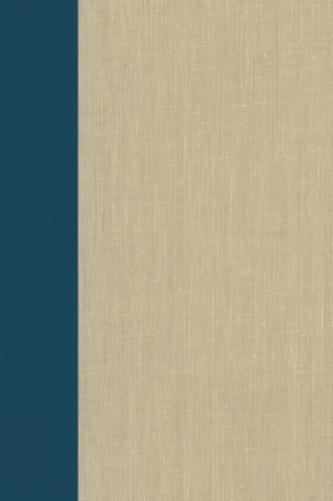 Terrorism Documents of International and Local Control