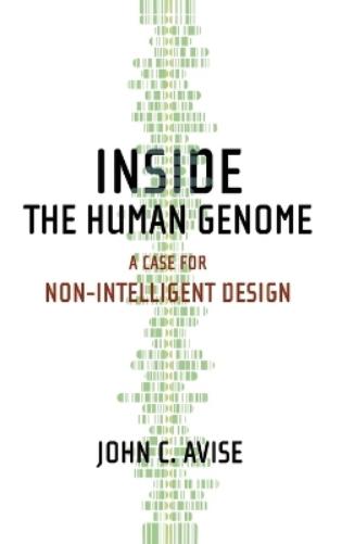 Inside the Human Genome
