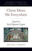 Christ Meets Me Everywhere