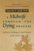 A Midwife through the Dying Process
