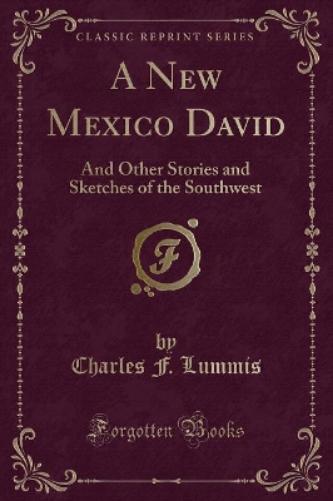A New Mexico David