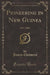 Pioneering in New Guinea