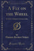 A Fly on the Wheel