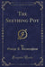 The Seething Pot (Classic Reprint)