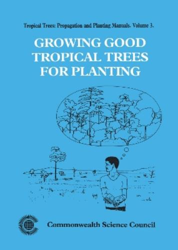 Growing Good Tropical Trees for Planting