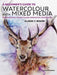A Beginner’s Guide to Watercolour with Mixed Media