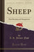 Sheep