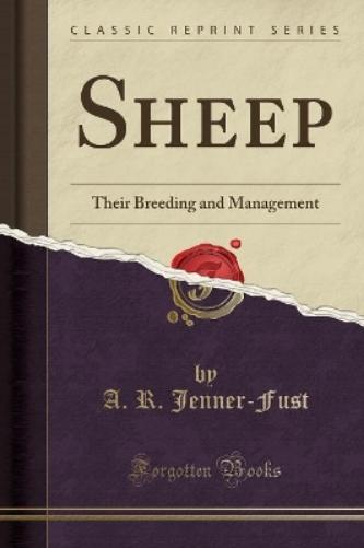 Sheep