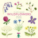 The Little Guide to Wildflowers (Little Guides
