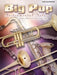 Big Pop Instrumental Solos (Alto Saxophone)