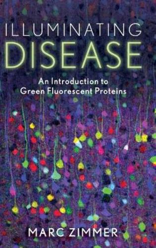 Illuminating Disease
