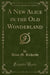 A New Alice in the Old Wonderland (Classic Reprint)