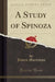 A Study of Spinoza (Classic Reprint)
