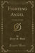 Fighting Angel