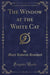 The Window at the White Cat (Classic Reprint)