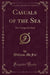 Casuals of the Sea