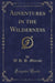 Adventures in the Wilderness (Classic Reprint)