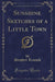 Sunshine Sketches of a Little Town (Classic Reprint)