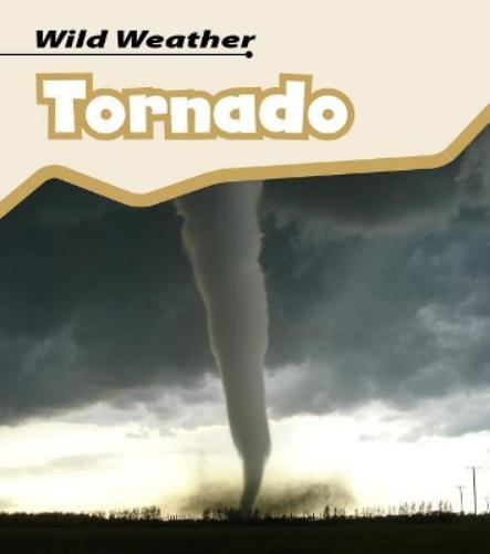 Wild Weather Tornado