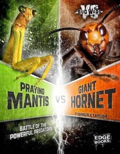 Praying Mantis VS Giant Hornet