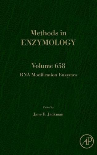 RNA Modification Enzymes
